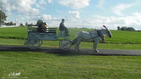 Our Limousine Carriage after a wedding