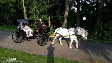 Princess Carriage at a wedding in Dawson, PA at Linden Hall.