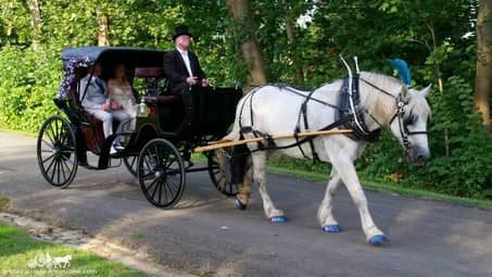 Our Princess Carriage at a wedding in Dawson, PA at Linden Hall.