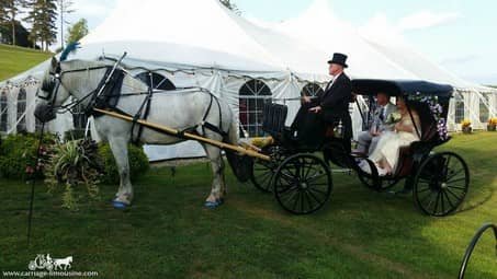 Our Princess Carriage at a wedding in Dawson, PA at Linden Hall.