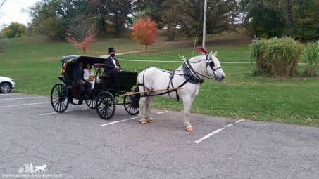 Heading to the reception in our Princess Carriage in South Park, PA