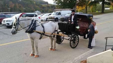 Princess carriage at the reception venue in South Park Twp, PA