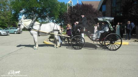 About to go for a ride with our Princess Carriage in Meridan, PA