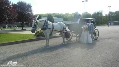 The Bride and Groom pose with our Princess Carriage in Meridan, PA