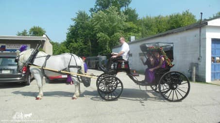 Princess Carriage giving a couple rides in Litchfield, OH
