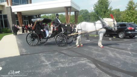 Our beautiful Princess Carriage after a wedding in Ohio