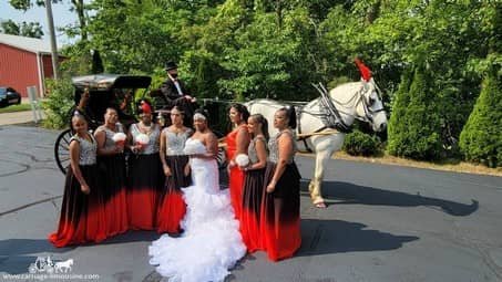 Our beautiful Princess Carriage after a wedding in Lorain, OH