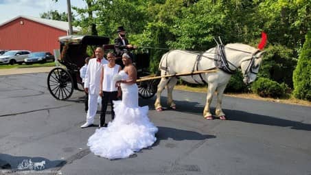 The Princess Carriage after a wedding in Lorain, OH