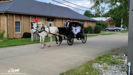 The Princess Carriage after a wedding in Lorain, OH