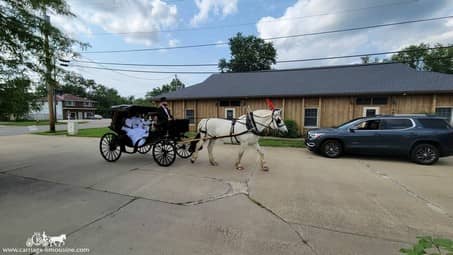 Our Horse Drawn Princess Carriage after a wedding in Lorain, OH