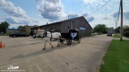 Our Horse Drawn Princess Carriage after a wedding in Lorain, OH