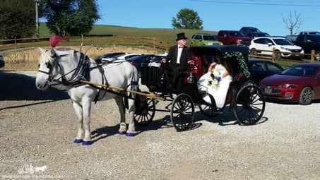 The Princess Carriage before a wedding ceremony in East Canton, OH