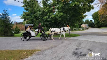 The Princess Carriage after the wedding ceremony near Fairview, PA