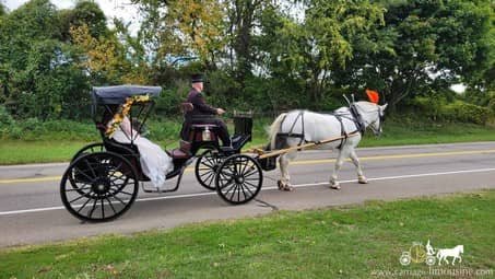 The wonderful Princess Carriage after the wedding ceremony nearFairview, PA