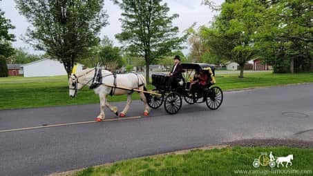 Our Princess Carriage before a prom in Austintown, OH