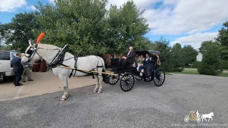 The beautiful Princess Carriage after the wedding ceremony nearFairview, PA
