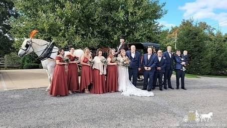 Our stunning Princess Carriage after the wedding ceremony nearFairview, PA