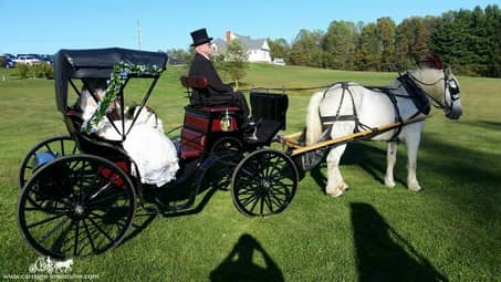 The bride and groom after their ceremony at Varian Orchard's in Canton, OH