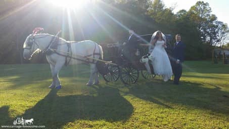 Our Princess Carriage at Varian Orchard's in East Canton, OH.