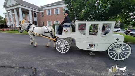 Horse-drawn Royal Coach exit ride for bride and groom in Warren, OH