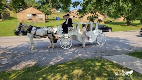 Our handcrafted Royal Coach during an entrance to the wedding ceremony in SNPJ, PA