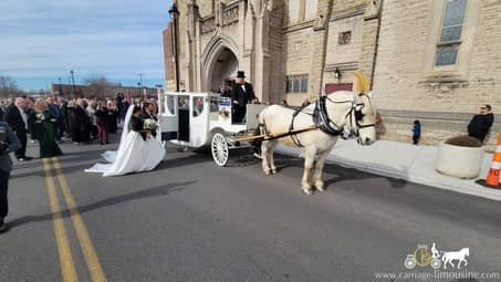 The Royal Coach giving the bride and groom a ride after their wedding ceremony in Youngstown, OH