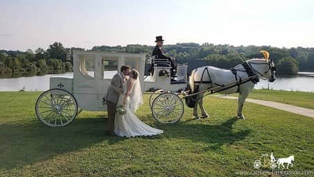 Our Royal Coach during photos after a wedding in SNPJ, PA