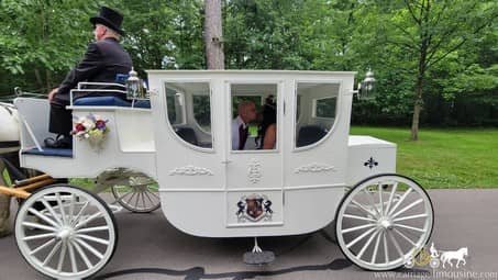 During a photo session with our beautiful Royal Coach in Hermitage, PA