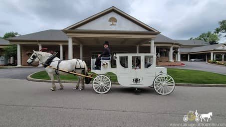 Our Royal Coach in Hermitage, PA