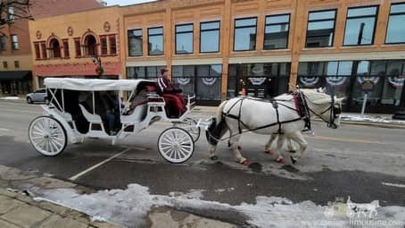Horse-drawn Stretch Victorian Carriage at a Christmas event in East Liverpool, OH