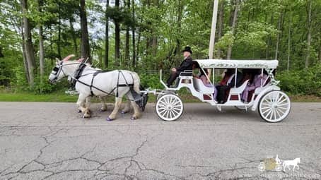 Stretch Victorian Carriage giving a grand birthday entrance in Euclid, OH