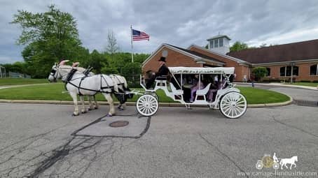 Birthday party entrance in our Stretch Victorian Carriage in Euclid, OH