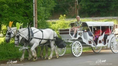 Our Stretch Victorian Carriage giving rides in Brady's Run Park, PA