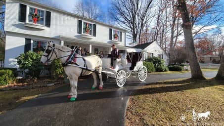 Our horse drawn Victorian Carriage at a party in Hermitage, PA