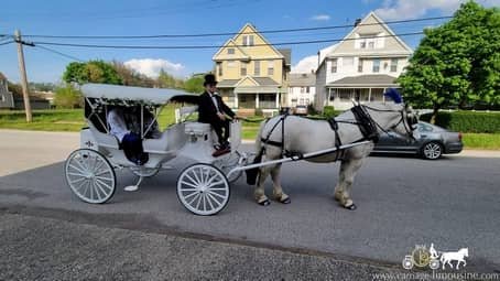 Bride and groom after their exit ride in the Victorian Carriage outside of Cleveland, OH