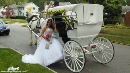 The bride with our Victorian Carriage before her wedding
