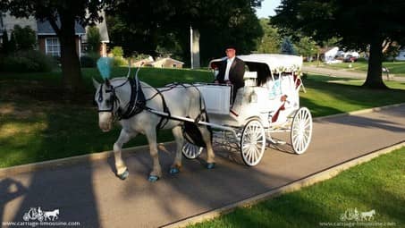 The bride and groom return after their carriage ride at the Canton Civic Center in Canton, OH