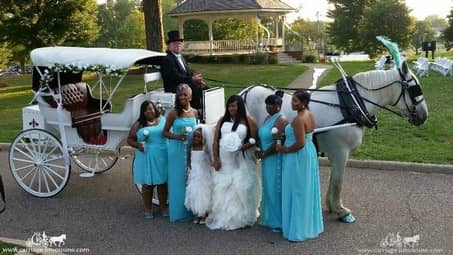 Bridal party poses with the carriage at the Canton Civic Center in Canton, OH