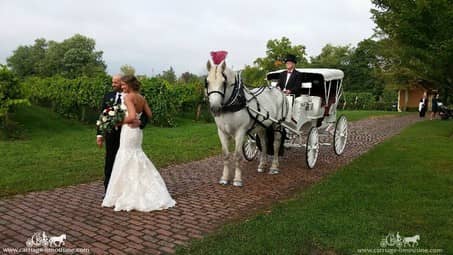 Bride and Groom pose with the horse and carriage at Gervasi