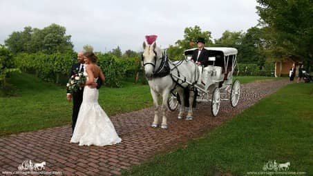 Bride and Groom pose with the Victorian Carriage at Gervasi Vineyard in Canton, OH