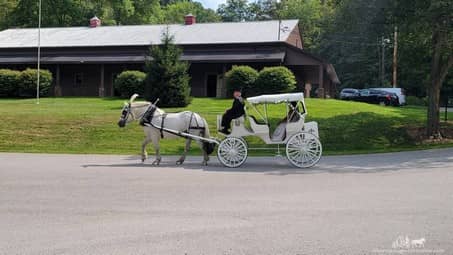 Victorian Carriage after a wedding at Bradys Run Park in Beaver Falls, PA
