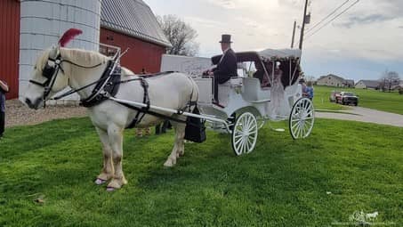 After ceremony ride and pictures with our Victorian Carriage in Carrollton, OH