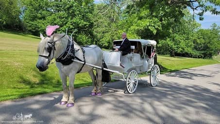 A grand entrance to the wedding with our Victorian Carriage in SNPJ, PA