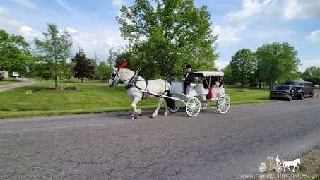 A Birthday party surprise with the Victorian Carriage in Medina, OH
