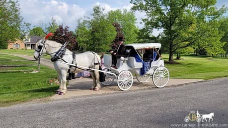 A themed Birthday party surprise with our Victorian Carriage in Medina, OH