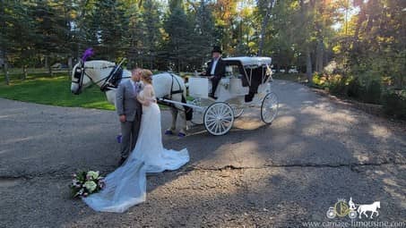 The Bride and Groom with our Victorian Carriage after their wedding in Loudonville, OH