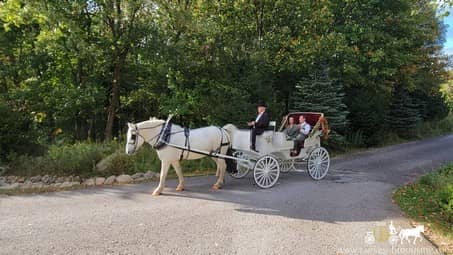 The couple going for a ride after their ceremony
