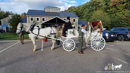 Our Victorian Carriage after the ceremony in ohio