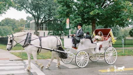 The bride coming in on our Victorian Carriage in Cleveland, OH