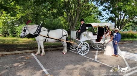Newlyweds posing with the Victorian Carriage in Oberlin, OH